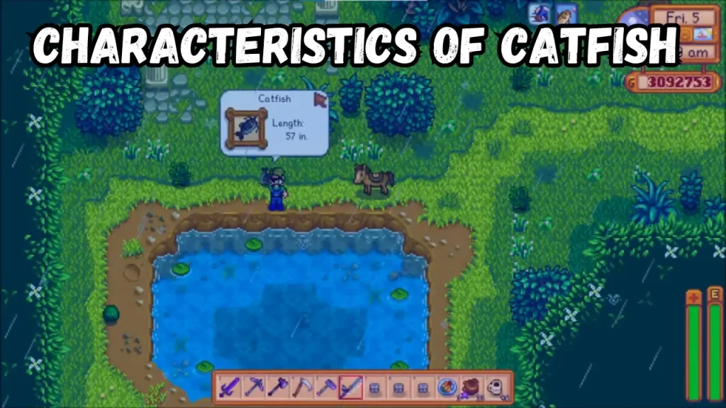 Characteristics of Catfish
